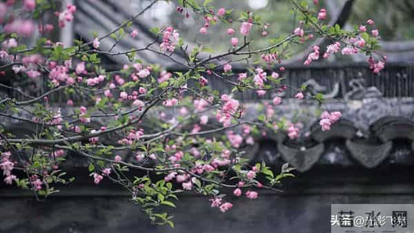 独生女毅然拒绝沦为家庭扶贫之对象，亲家却执着索要四居室之婚房