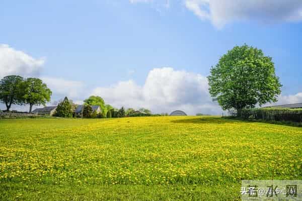 发现没？凡是男人带女人出去玩，女的都会穿裙子，你知道为什么吗