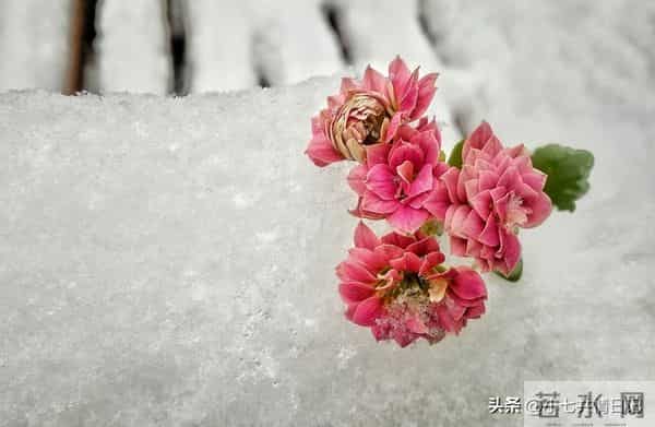 被疯狂转发的22个宝藏句子，每句都能让心灵放个假