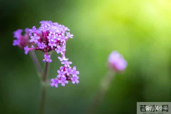 让女人害怕失去你，最好的方式，是“三不给”