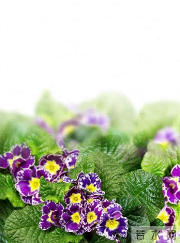 原来,女人动了情,会开这些玩笑