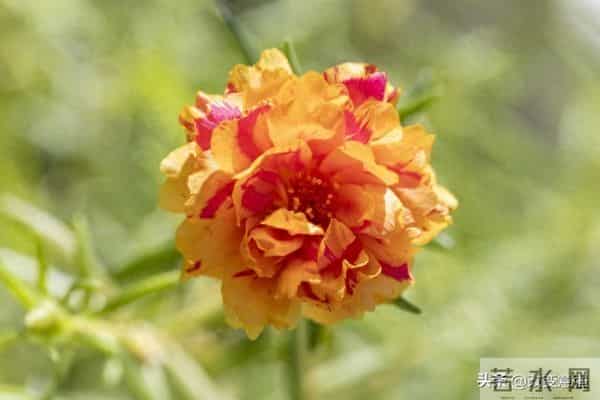 男人要记住，除了自己老婆，外面的女人再好，也要做到“两别”！