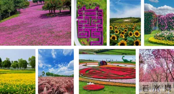 弥勒宇星公司送钻石了！名额有限～