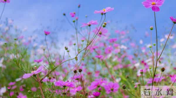 12月12日，金牛座，未来11日，会有事即将发生！