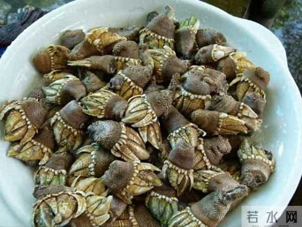 湛江婆婆用一个小时做饭，重庆媳妇却吃不下，网友：没见过世面