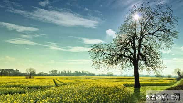 12月11日至12月20日，未羊，即将发生！