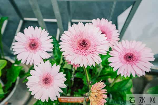 当遇见心头蜜糖宝贝，大声勇敢说爱，不负卿来不负己，让人间值得