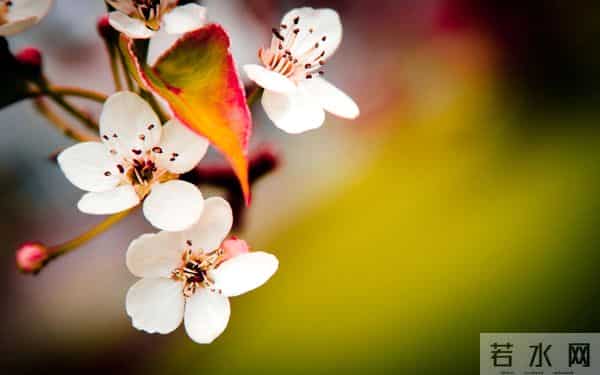 男人爱你的程度，在这一件事上，表现得淋漓尽致