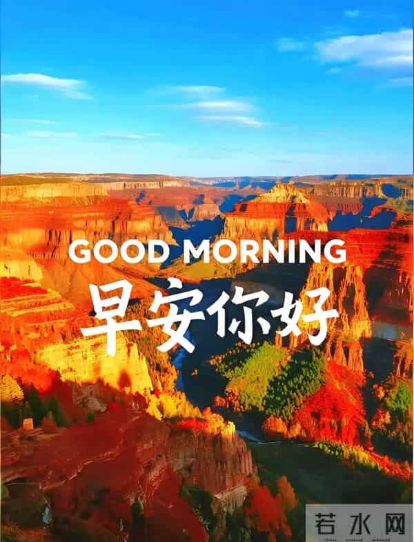 2025年12月12日周五早安 早上好图片最新今天 温馨淡雅的早安图片