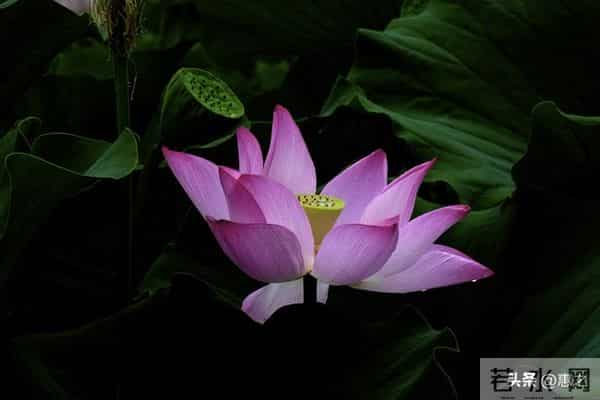 结婚不是要找一个对你好的人，而是要找一个从根上就很好的人