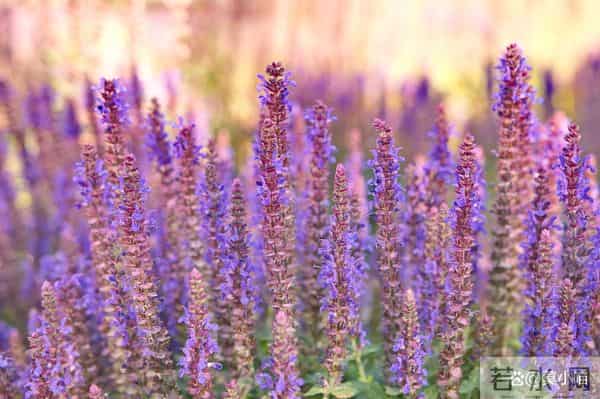 让女人害怕失去你，最好的方式，是“三不给”