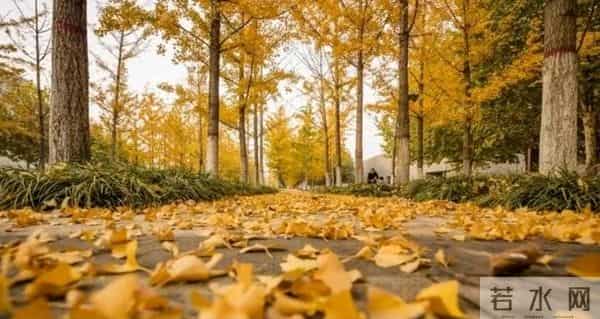 你别不信，大部分公公，都会趁儿子不在家的时候跟儿媳妇保持距离