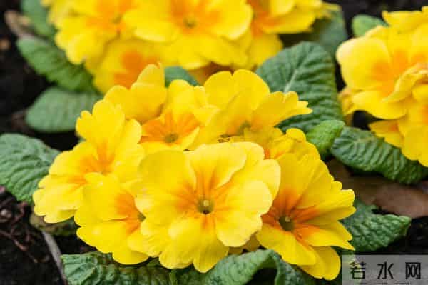 原来,女人动了情,会开这些玩笑