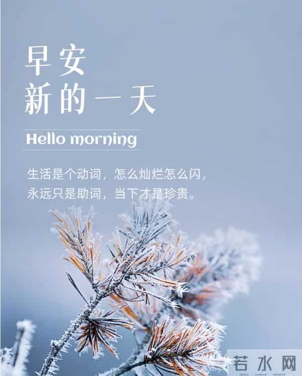 晨安冬日，邂逅温柔光景