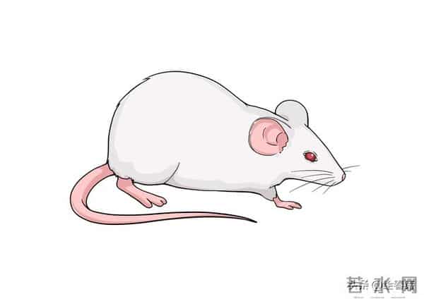 子鼠人：世事难料，12月12日最难的“关”，或许不是事，而是人