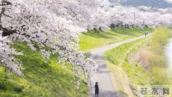 两性关系：万万没想到，70岁的女人最盼望男人"肉麻"示爱