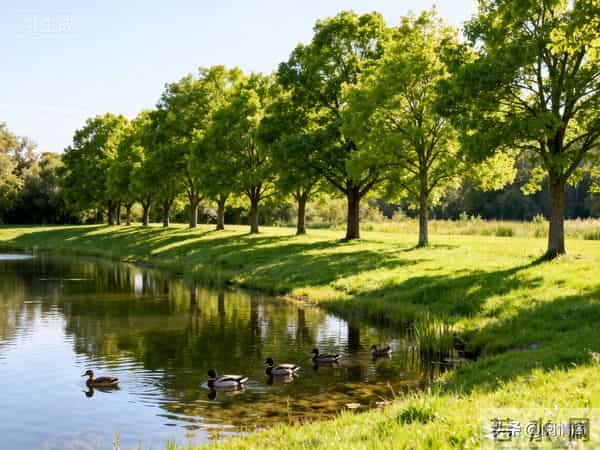 人生-肉体安康，灵魂轻盈，便是人间好光景