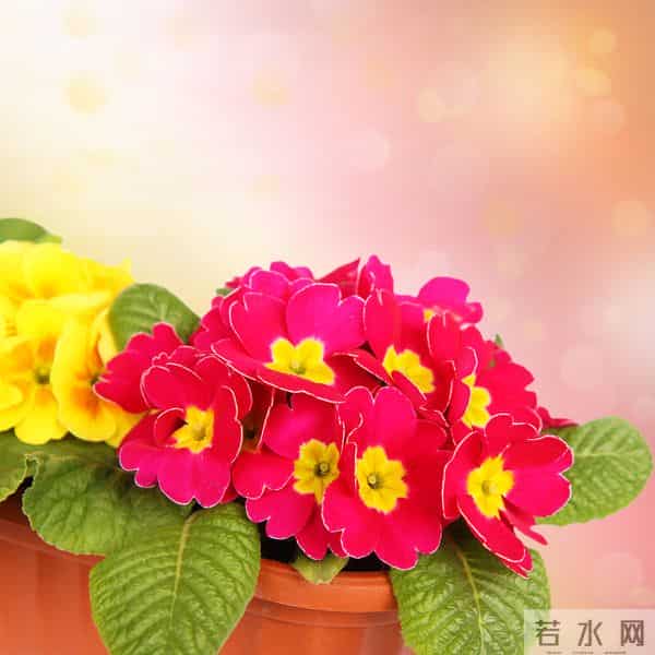 原来,女人动了情,会开这些玩笑