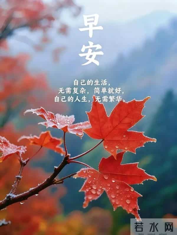 2025年12月11日周四早上好 早上好温馨问候语 今日早安祝福精美图片