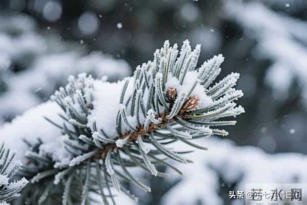 被疯狂转发的22个宝藏句子，每句都能让心灵放个假