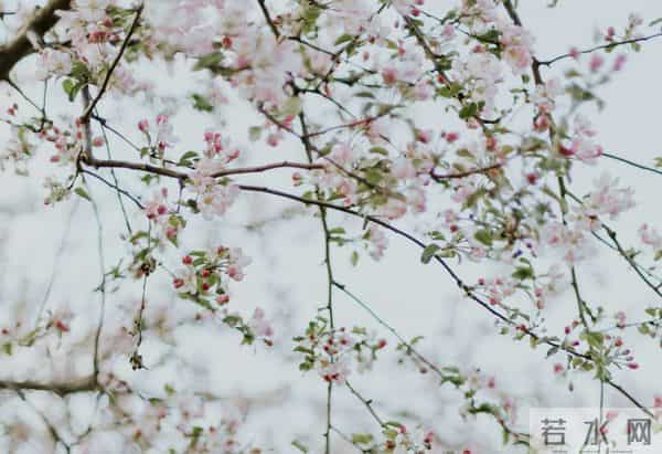 订婚前,小姨让我把彩礼首饰给我妈保管,说婆家靠不住,我妈默认