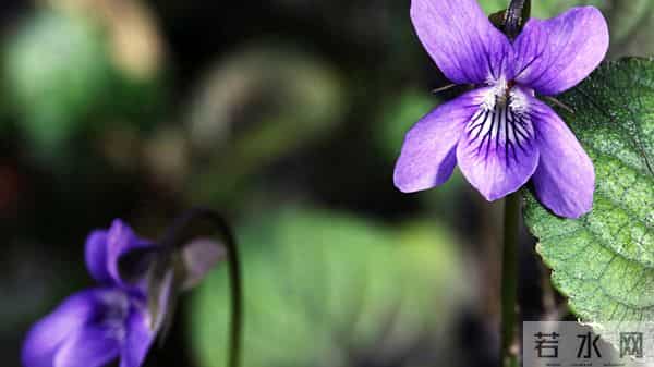 12月11日今日星座,水瓶座,会有事发生!