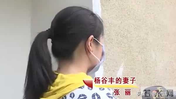 老男人出轨娶小20岁娇妻，前妻徒弟变现妻，养不起抢长子房产