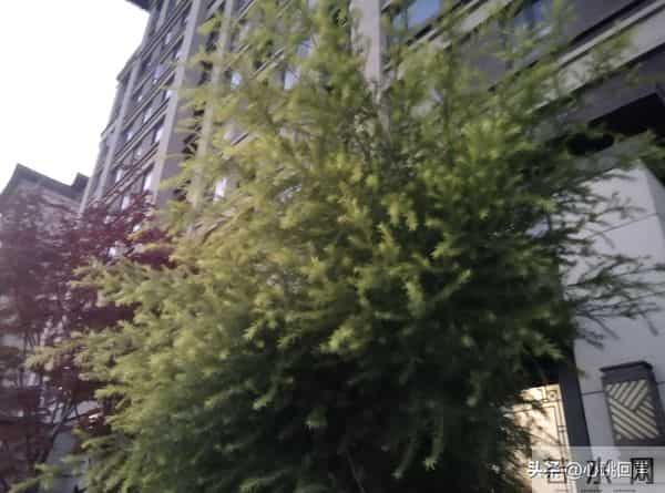 再安分的女人，包括中年女人，也难挡男人四大情感诱惑