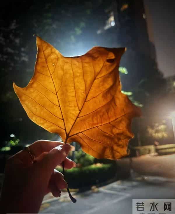 用一张照片证明你是热爱生活的人！网友哭喊：原来我丢失了我自己