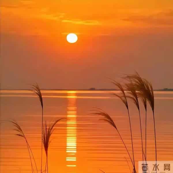 句句渡己，句句入心：15句一切看淡，万般随缘，以欢喜之心度流年