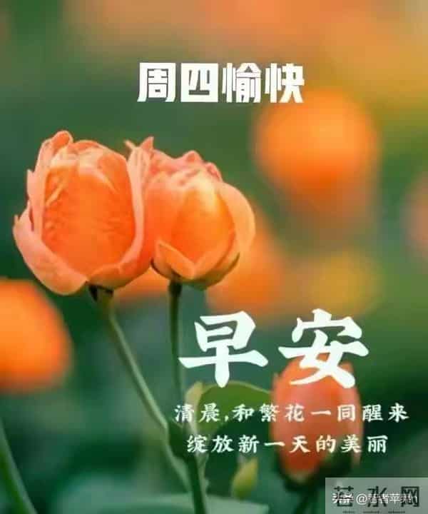 2025年12月11日早安问候：用温度融化冬日的寒