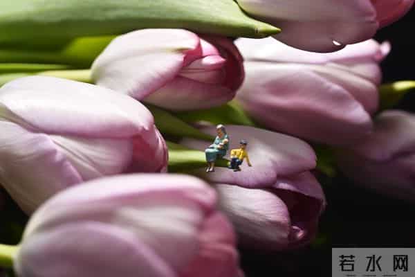 母亲轮住女儿家,儿子月补2000还贴钱,母女反目:养老最忌心凉