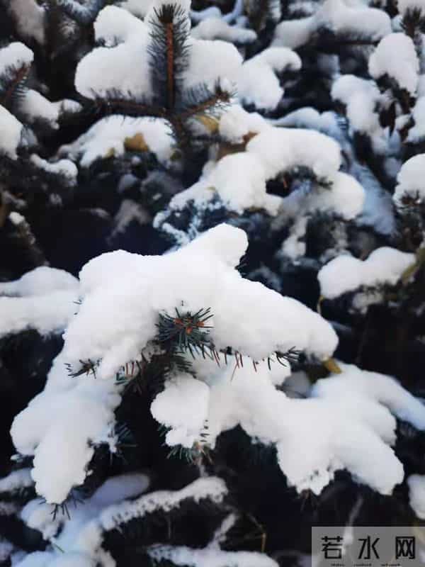 心闲，意淡，日子缓缓。