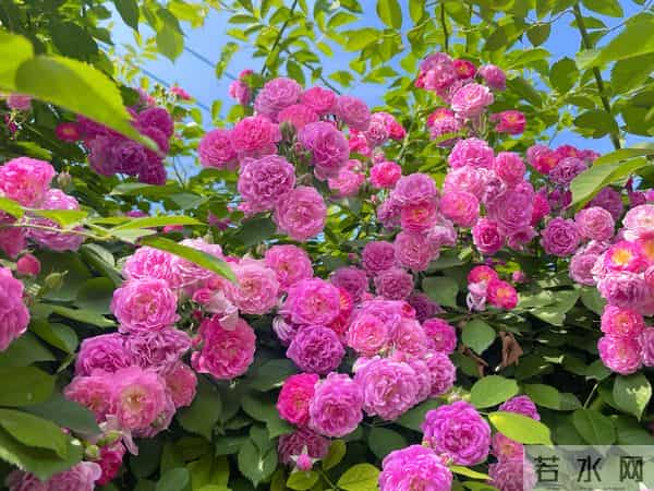 这15句大白话，比任何鸡汤都实在，看完心里敞亮多了！