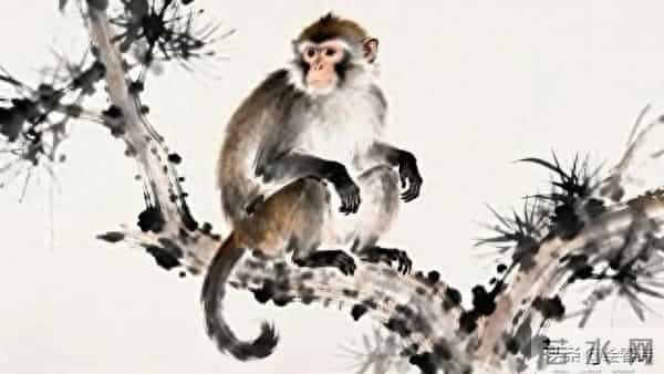 2026年前,属猴的朋友请留心:这三个人,离得越远,日子越顺