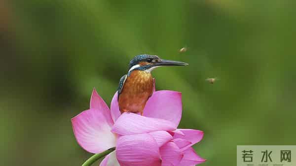 12月11日今日星座,天蝎座,会有事发生!