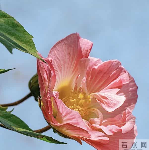 一心一意待你，全心全意疼爱你