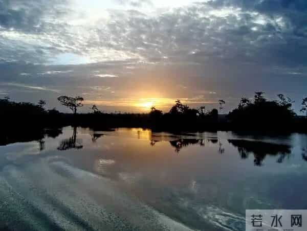 女人转运多半是：金牛逆袭2026