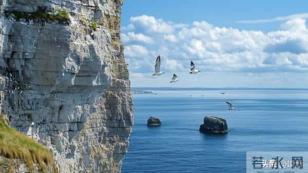 对付欺软怕硬的人：牢记4个关键，再横的人也不敢惹你