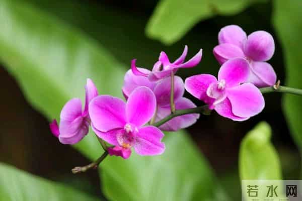 考上大学我妈给我侄子10000元，给我儿子2000，还让我不要不平衡