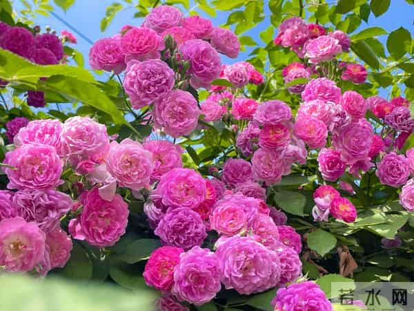 这15句大白话，比任何鸡汤都实在，看完心里敞亮多了！