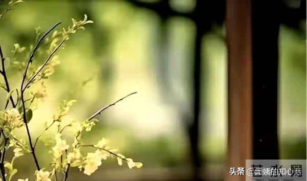 一句醍醐灌顶的话: 除了至亲,永远不用刻意去和任何人修复关系