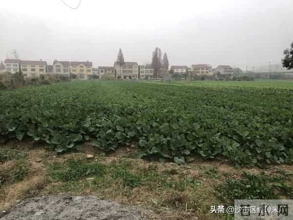 精神病人做什么工作好呢?