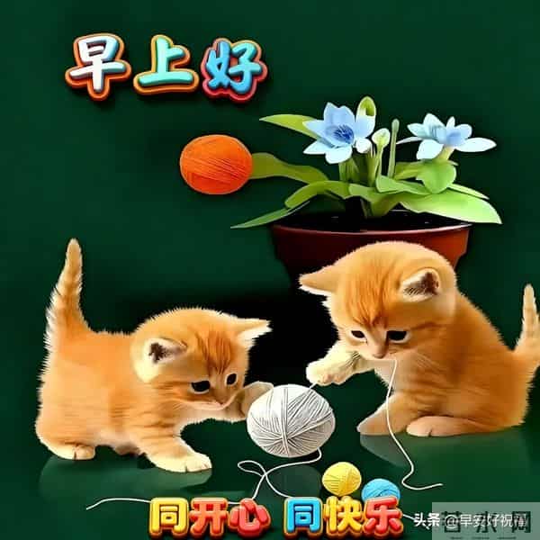 14张今日最新早安好祝福漂亮图片精选，新的一天，万事如意，早安