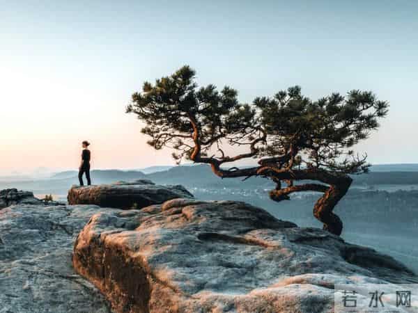 遇到坑你、害你、让你痛苦的人，别急着去计较，自有天道来评判