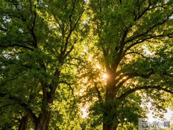 2026年四大星座要爆发,第一名要翻身赚到手软