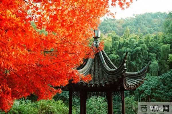 退休清华教授十条人生忠告:70岁后,一定要守住自己的幸福底线