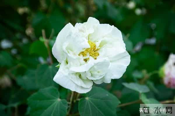 我照顾丁克小姨6年，意外看到遗嘱，果断离开不再联系