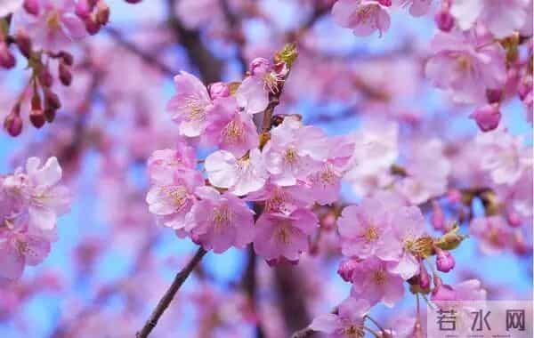 女人转运多半是：金牛逆袭2026