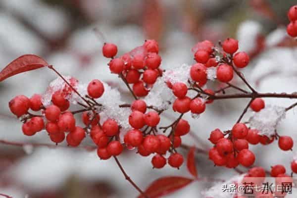 被疯狂转发的22个宝藏句子，每句都能让心灵放个假